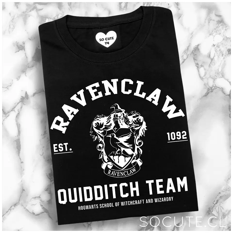 POLERA RAVENCLAW QUIDDITCH 2