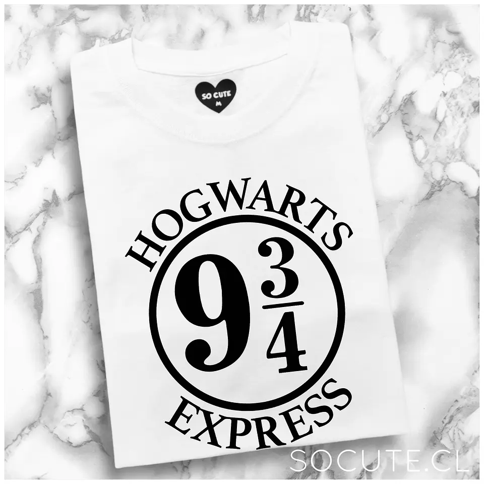 POLERA HOGWARTS EXPRESS 1