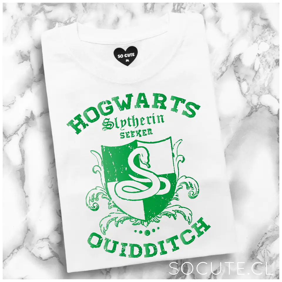 SLYTHERIN QUIDDITCH 1