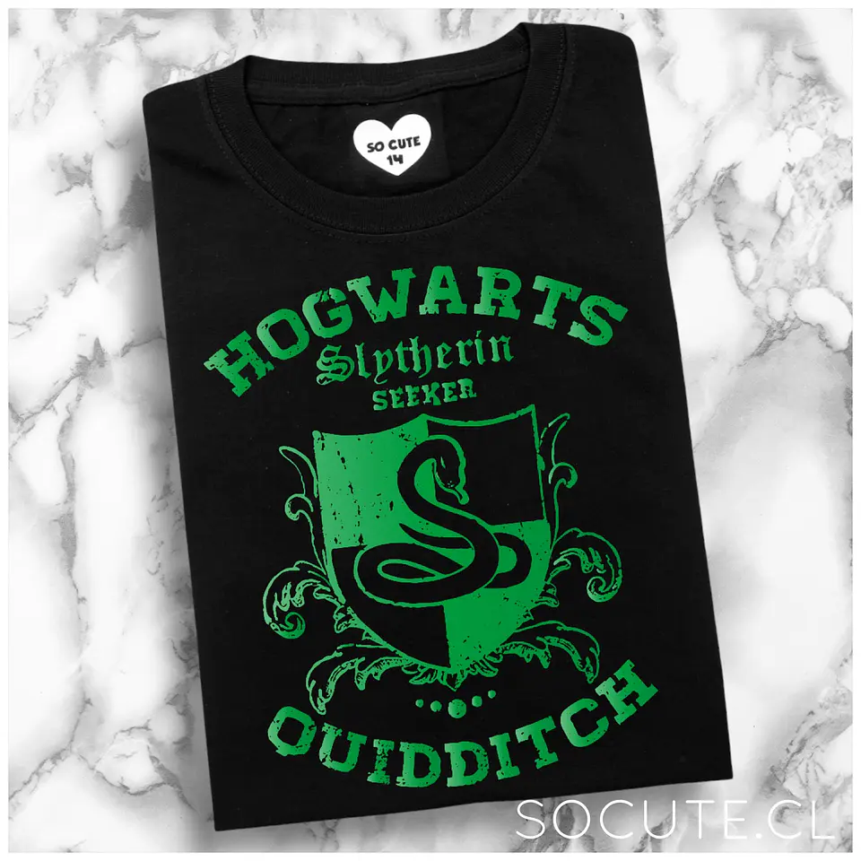 SLYTHERIN QUIDDITCH 2