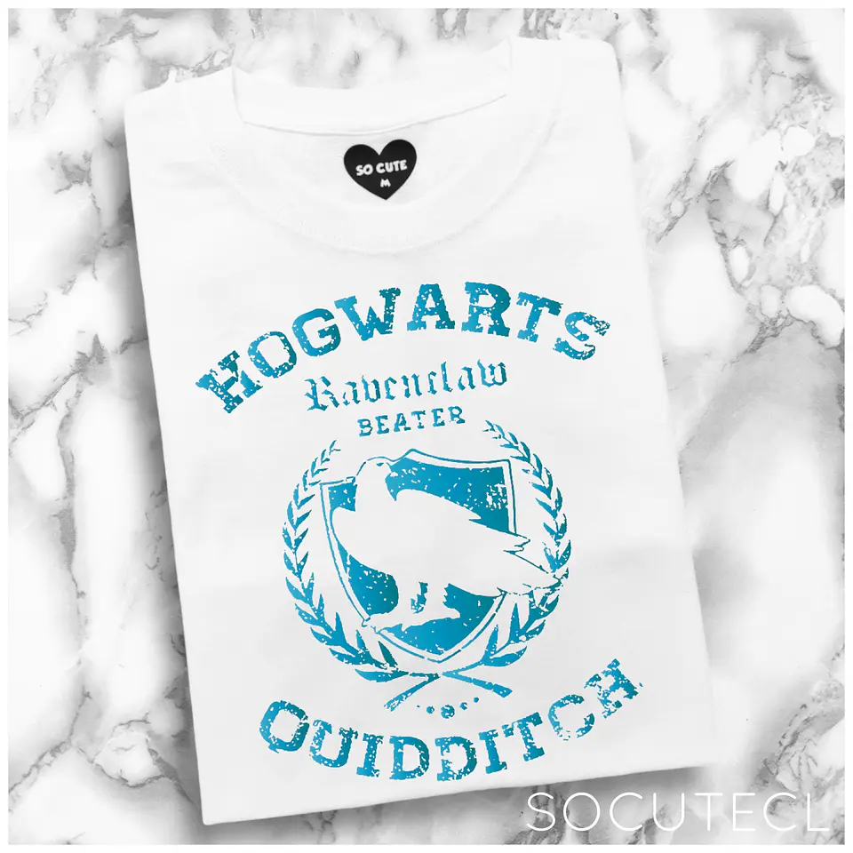 POLERA RAVENCLAW QUIDDITCH 1