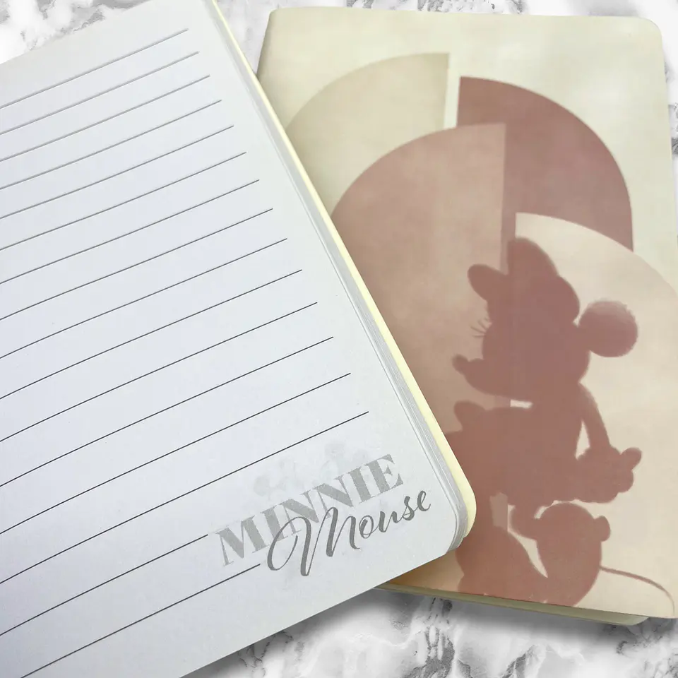 SET LIBRETAS MINNIE 7