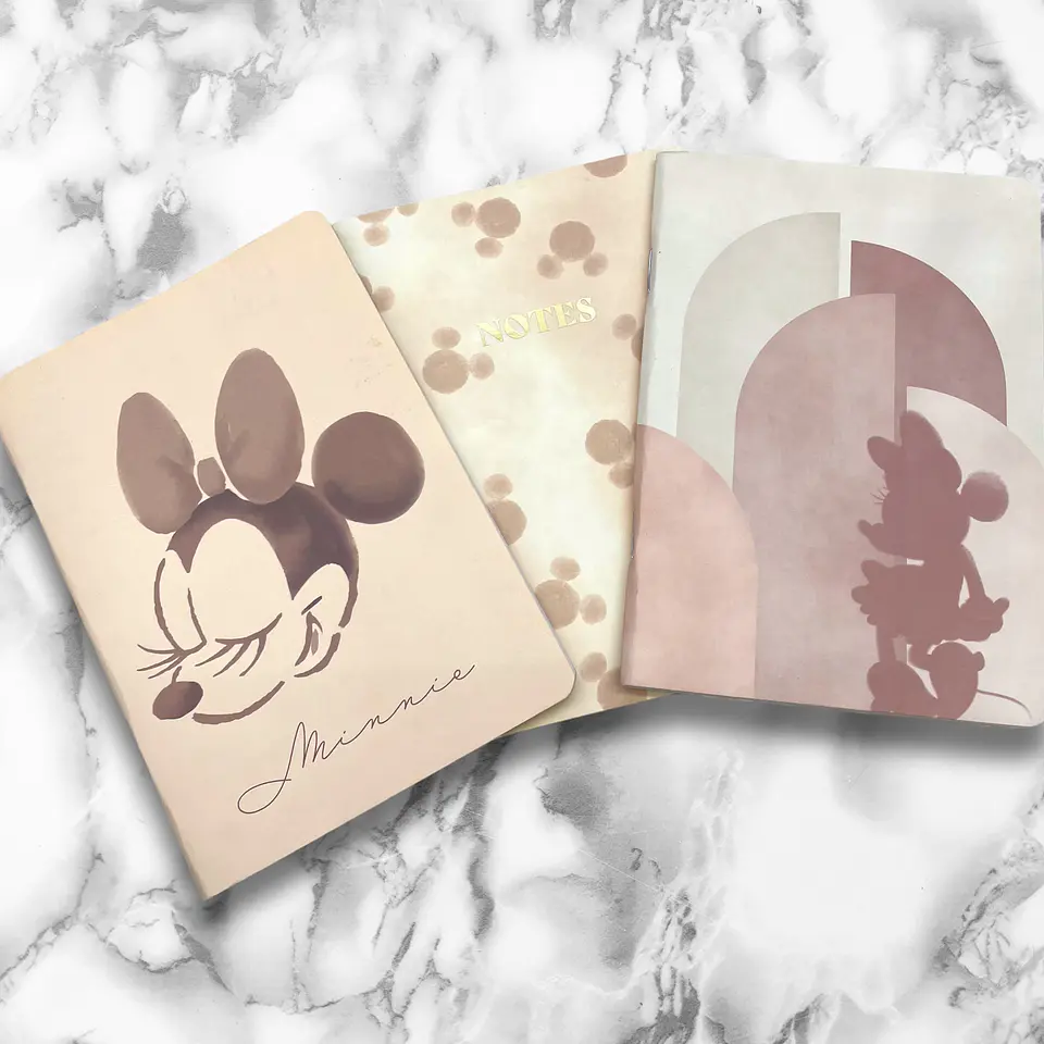 SET LIBRETAS MINNIE 8