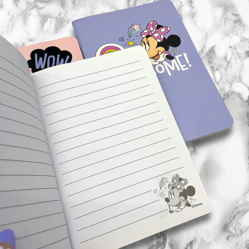 SET LIBRETAS MINNIE 5