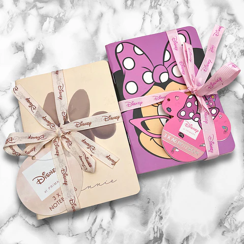 SET LIBRETAS MINNIE