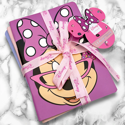 SET LIBRETAS MINNIE