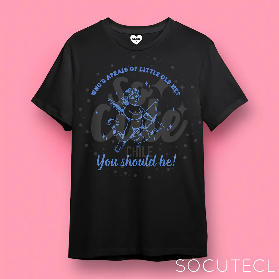 POLERA / POLERON TAYLOR SWIFT WHO’S AFRAID OF LITTLE OLD ME? YOU SHOULD BE! 3
