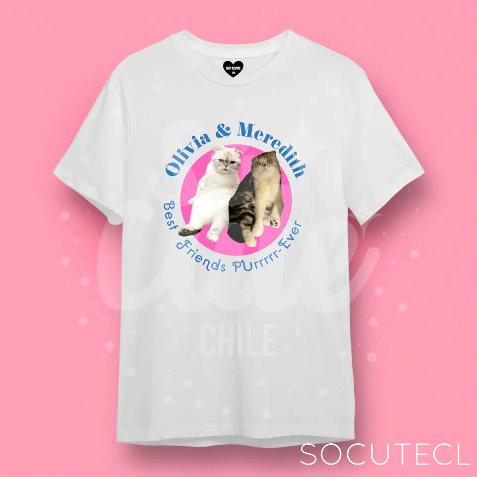 POLERA TAYLOR SWIFT CATS / BEST FRIENDS PURRRRR-EVER 1