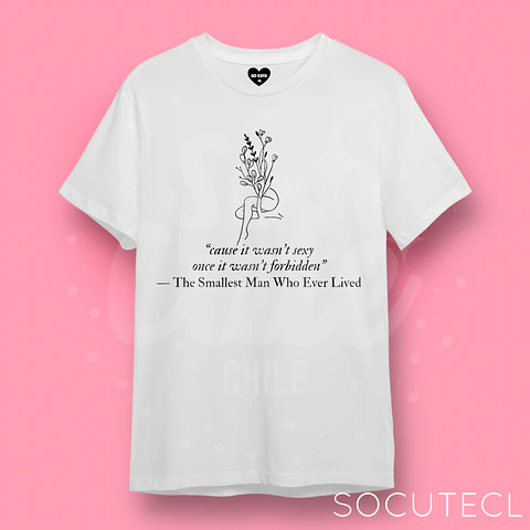POLERA TAYLOR SWIFT THE SMALLEST MAN