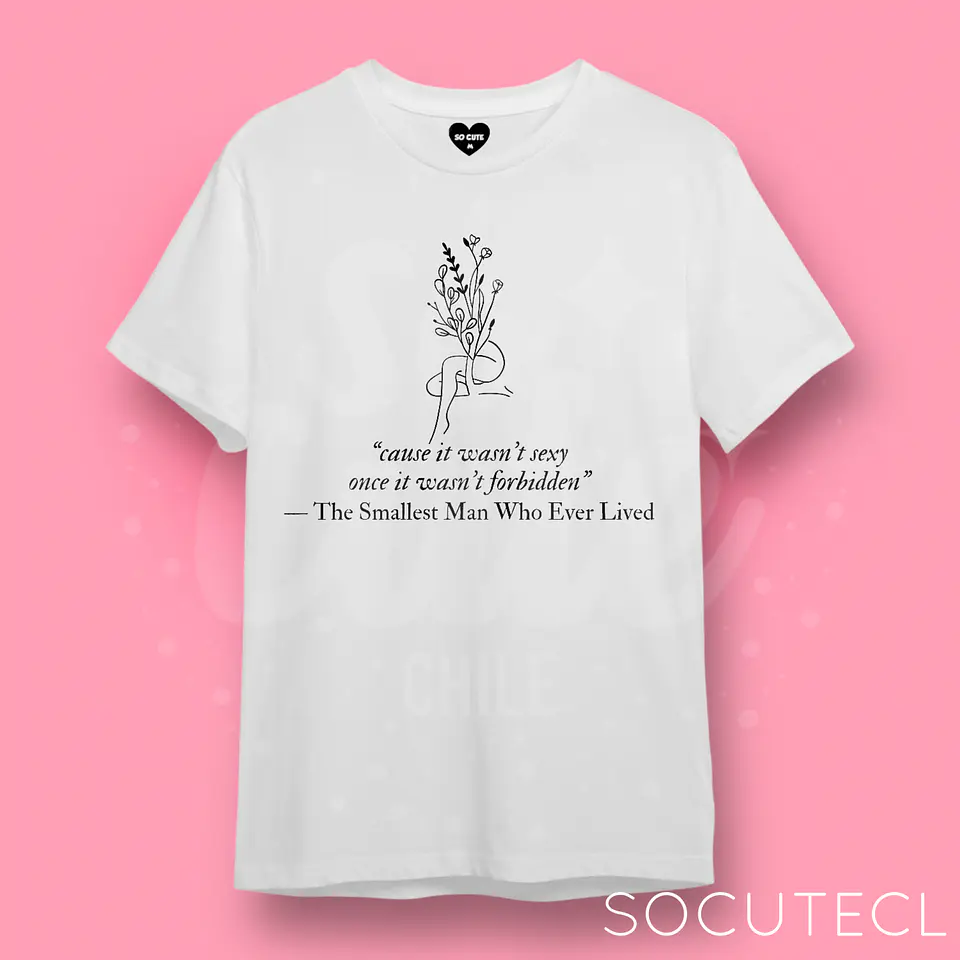 POLERA TAYLOR SWIFT THE SMALLEST MAN 1