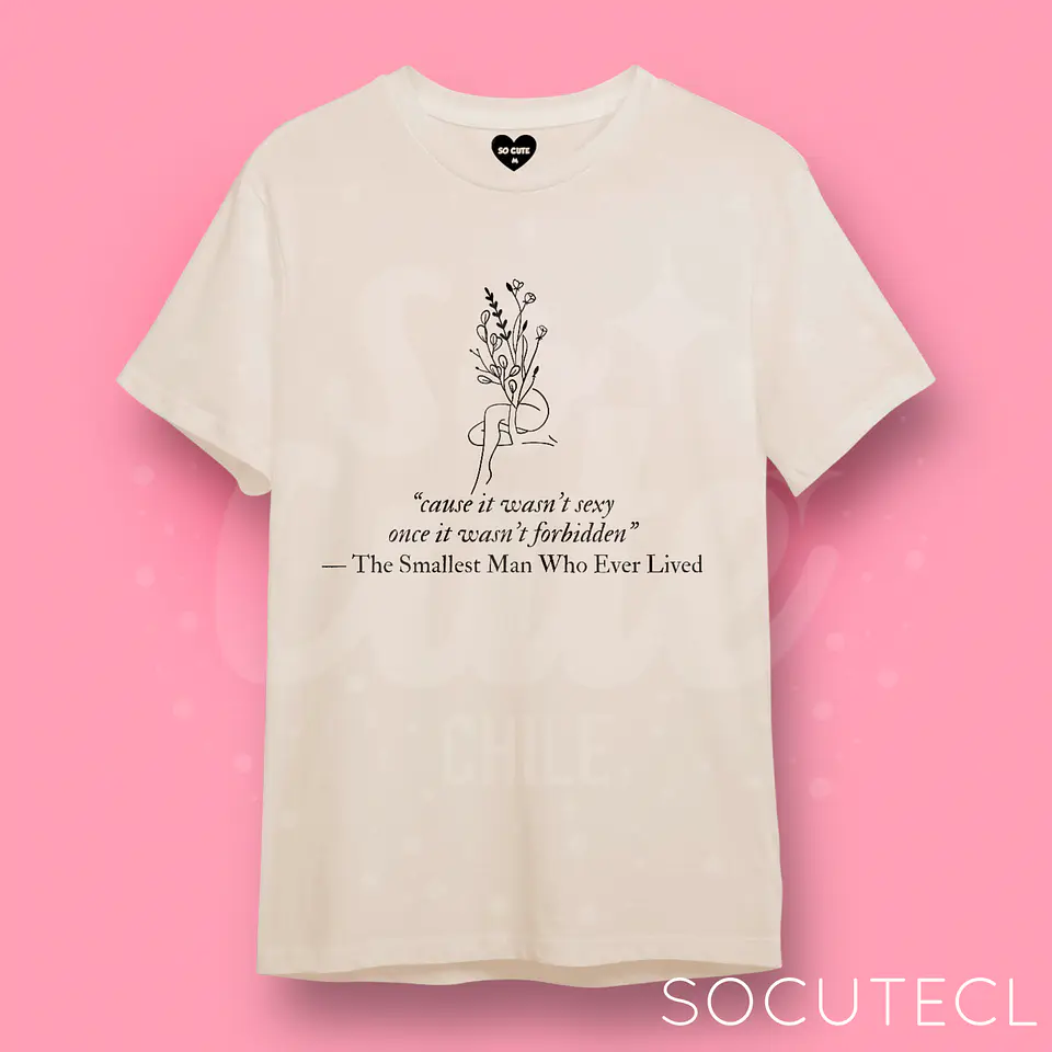 POLERA TAYLOR SWIFT THE SMALLEST MAN 2
