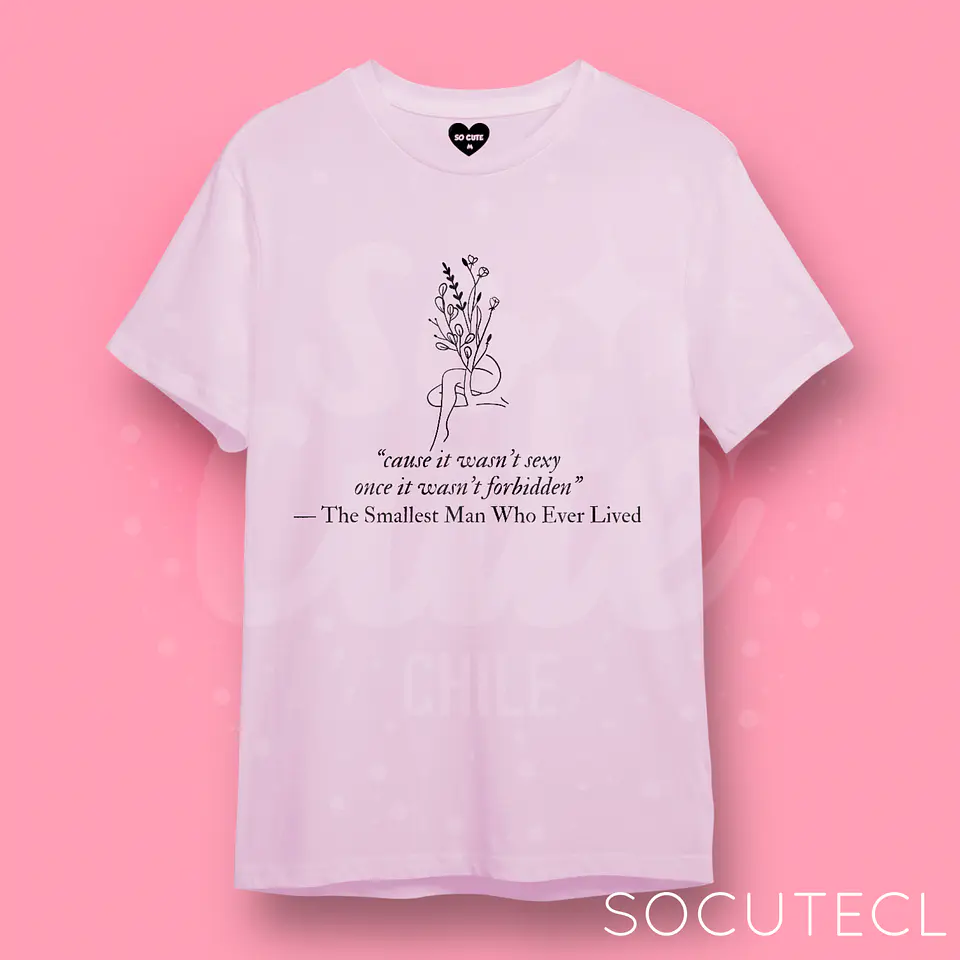 POLERA TAYLOR SWIFT THE SMALLEST MAN 3