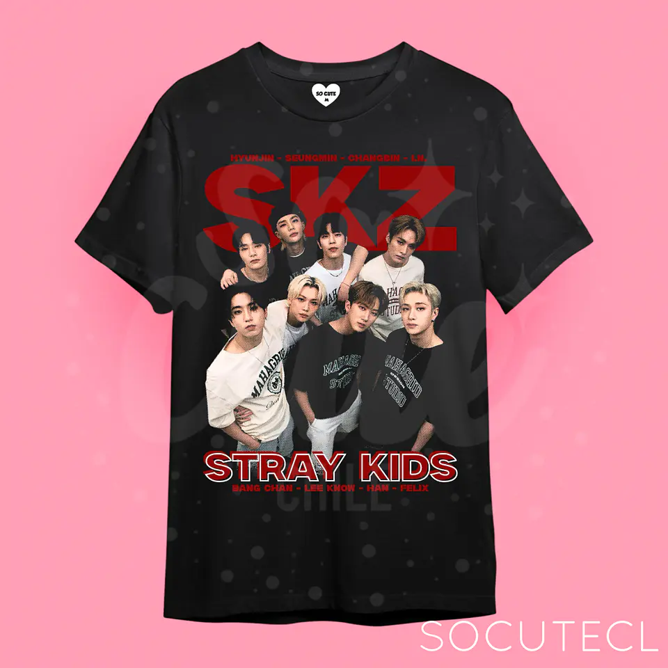 POLERA / POLERON / STRAY KIDS / SKZ  1