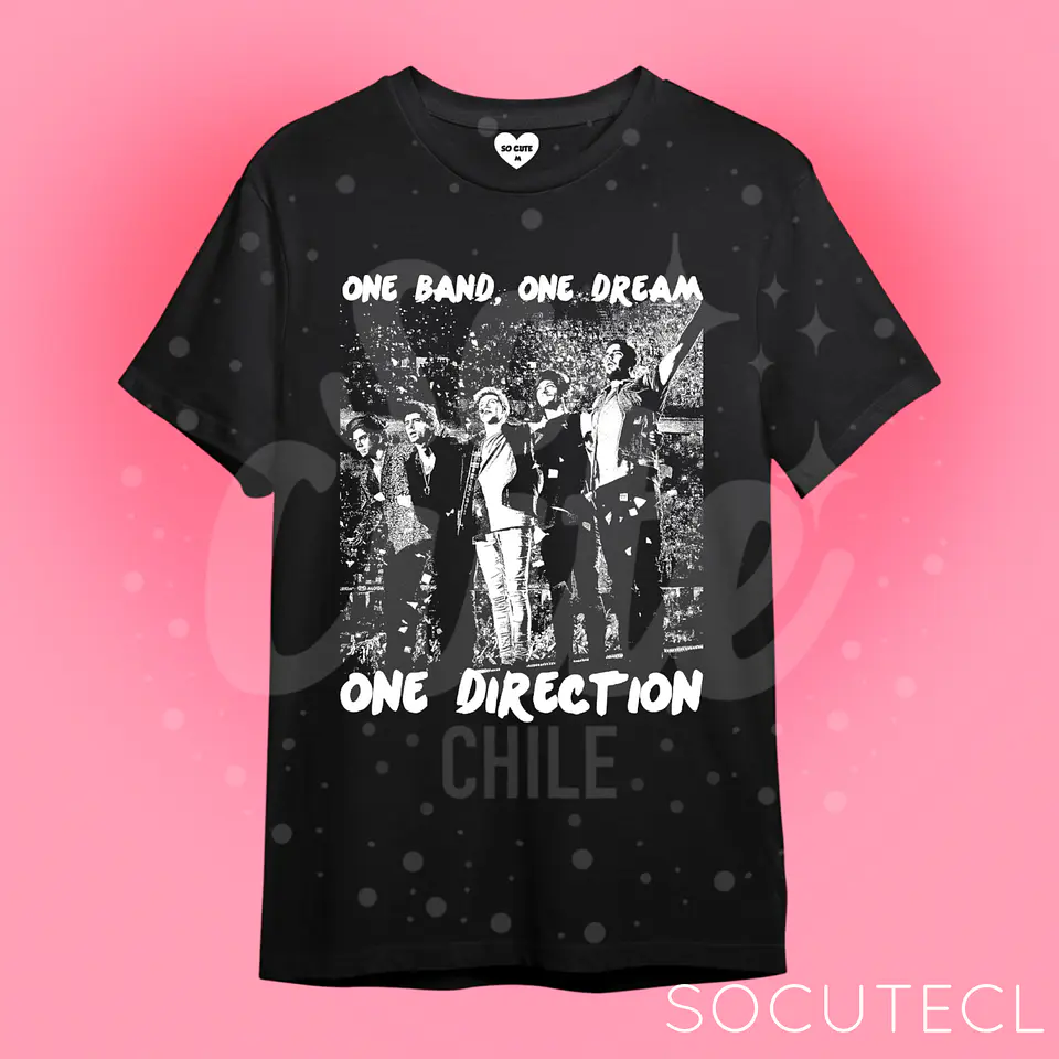 POLERA ONE DIRECTION, ONE BAND - ONE DREAM 1