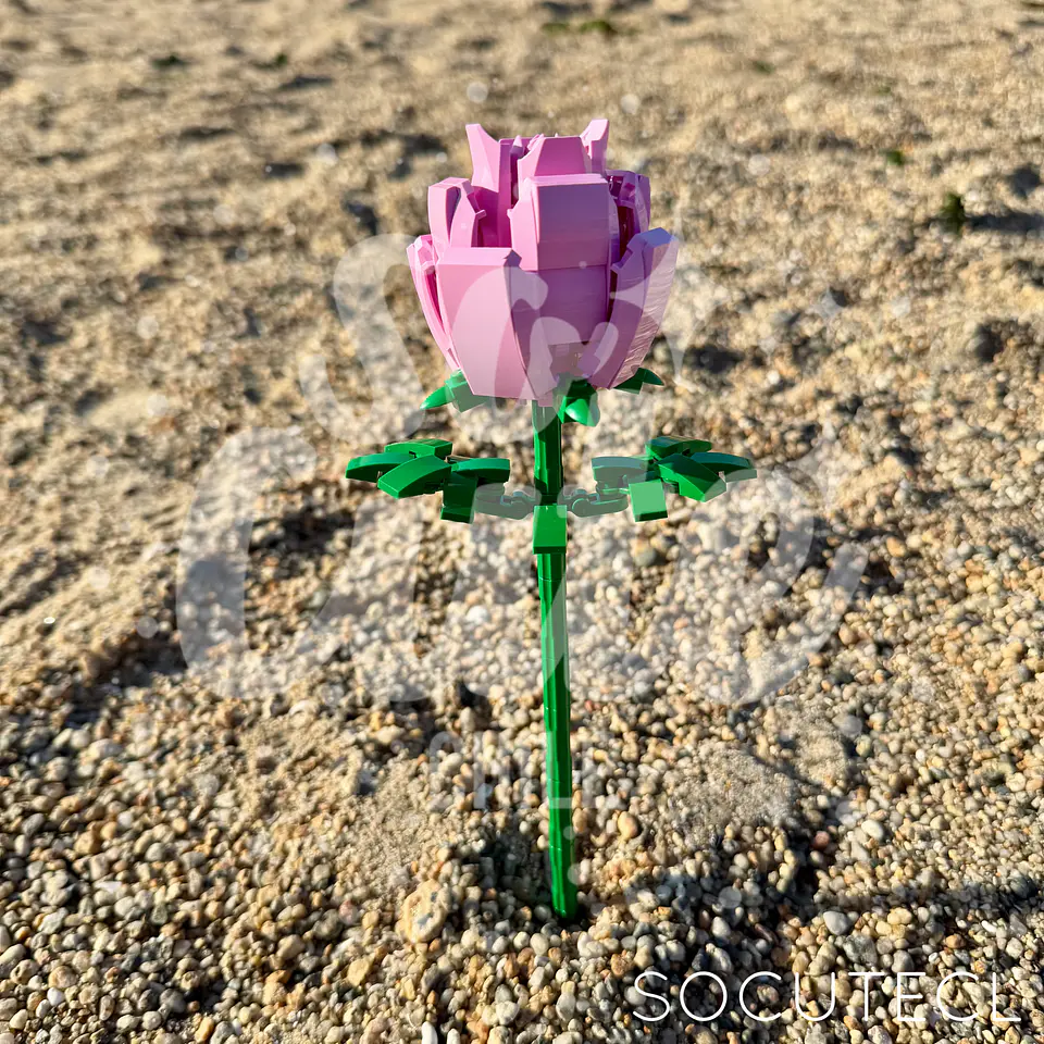 FLORES ETERNAS/ ROSAS/ BLOQUES DE CONSTRUCCIÓN ARMABLES 6