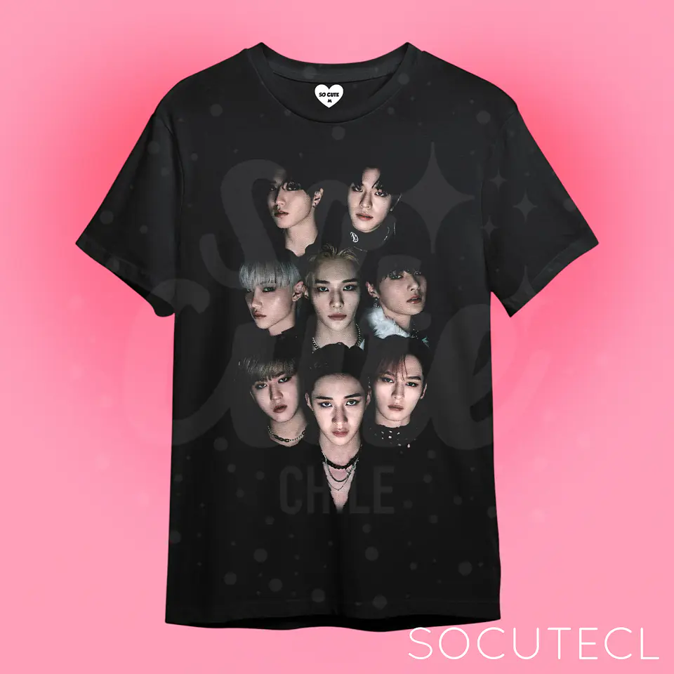POLERA STRAY KIDS / SKZ 1