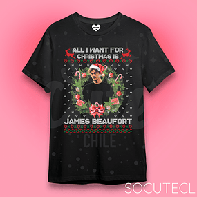 POLERA ALL I WANT FOR CHRISTMAS IS JAMES BEAUFORT
