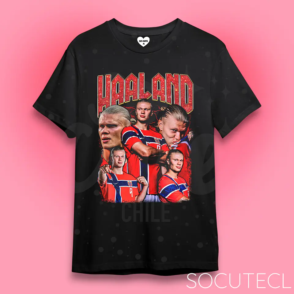 POLERA HAALAND  1