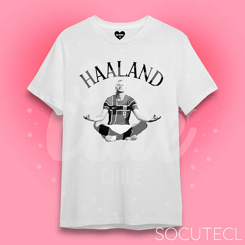 POLERA HAALAND 01