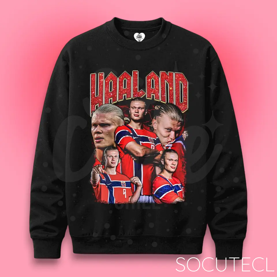 POLERON HAALAND 1