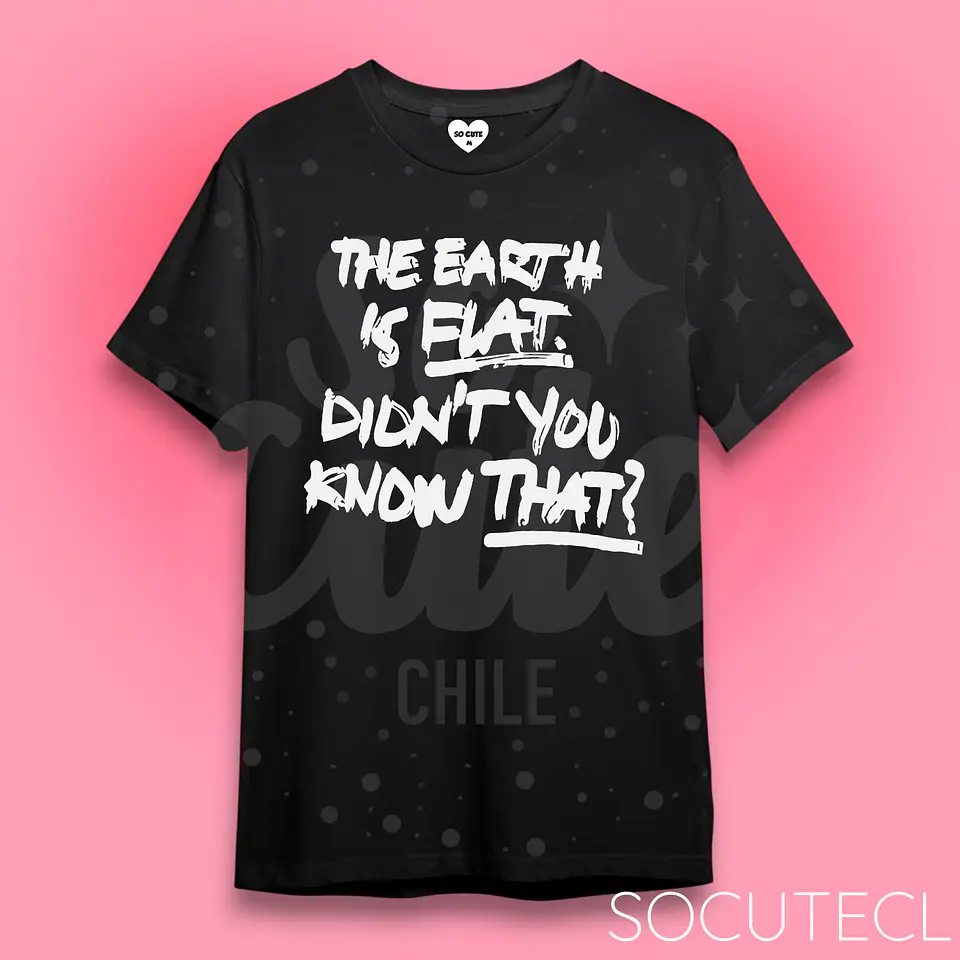 POLERA THE EARTH IS FLAT. DIDNT YOU KNOW THAT? YOONGI / SUGA BTS 1