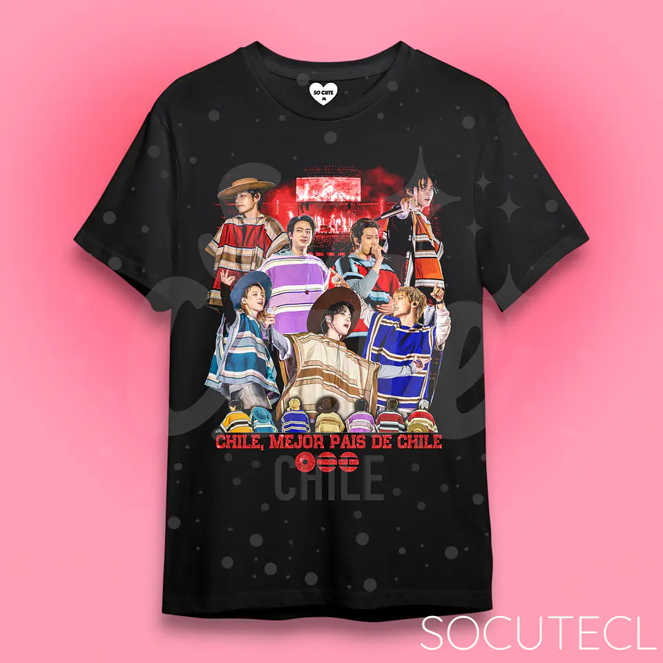 POLERA BTS: Huasitos Chilenos 🍷 1