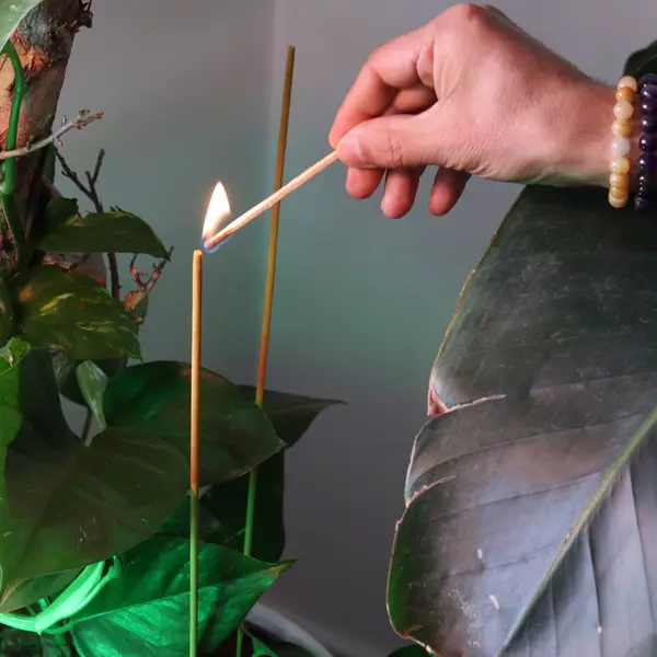 Stamford Incense Sticks