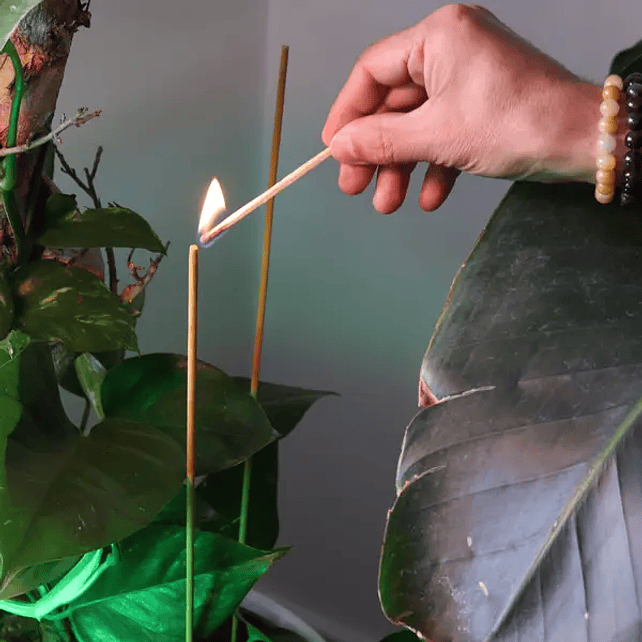 Stamford Incense Sticks