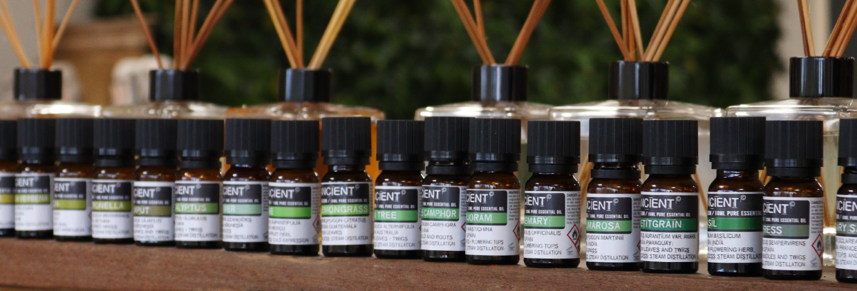 Top 12 Essential Oils
