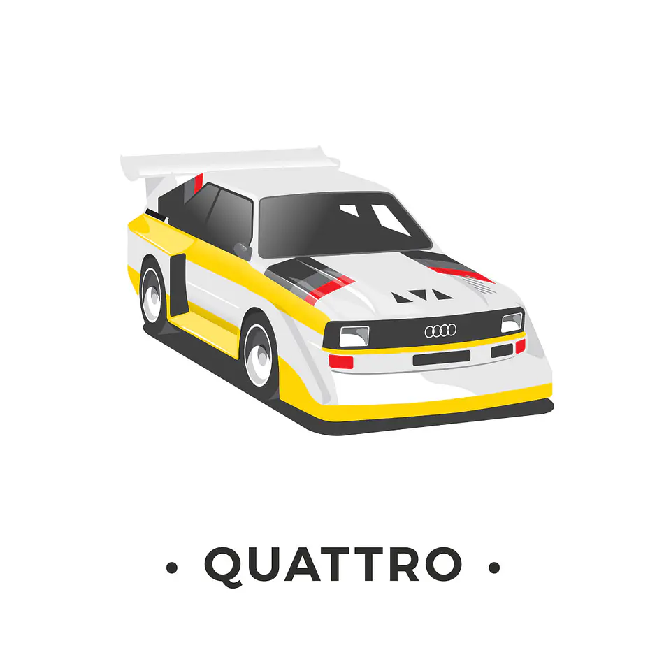 QUATTRO SOCKS 4