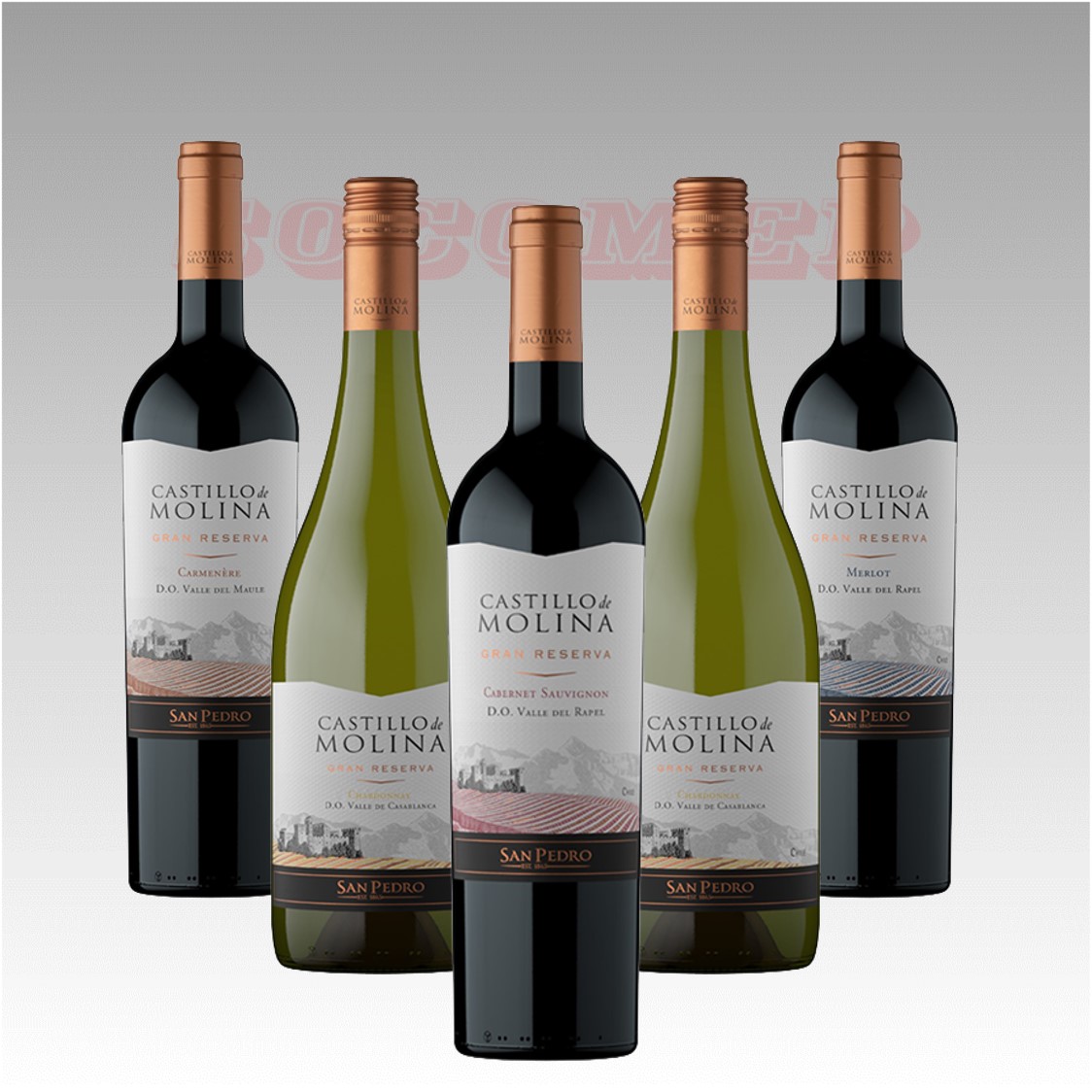 Castillo de Molina Gran Reserva 750cc