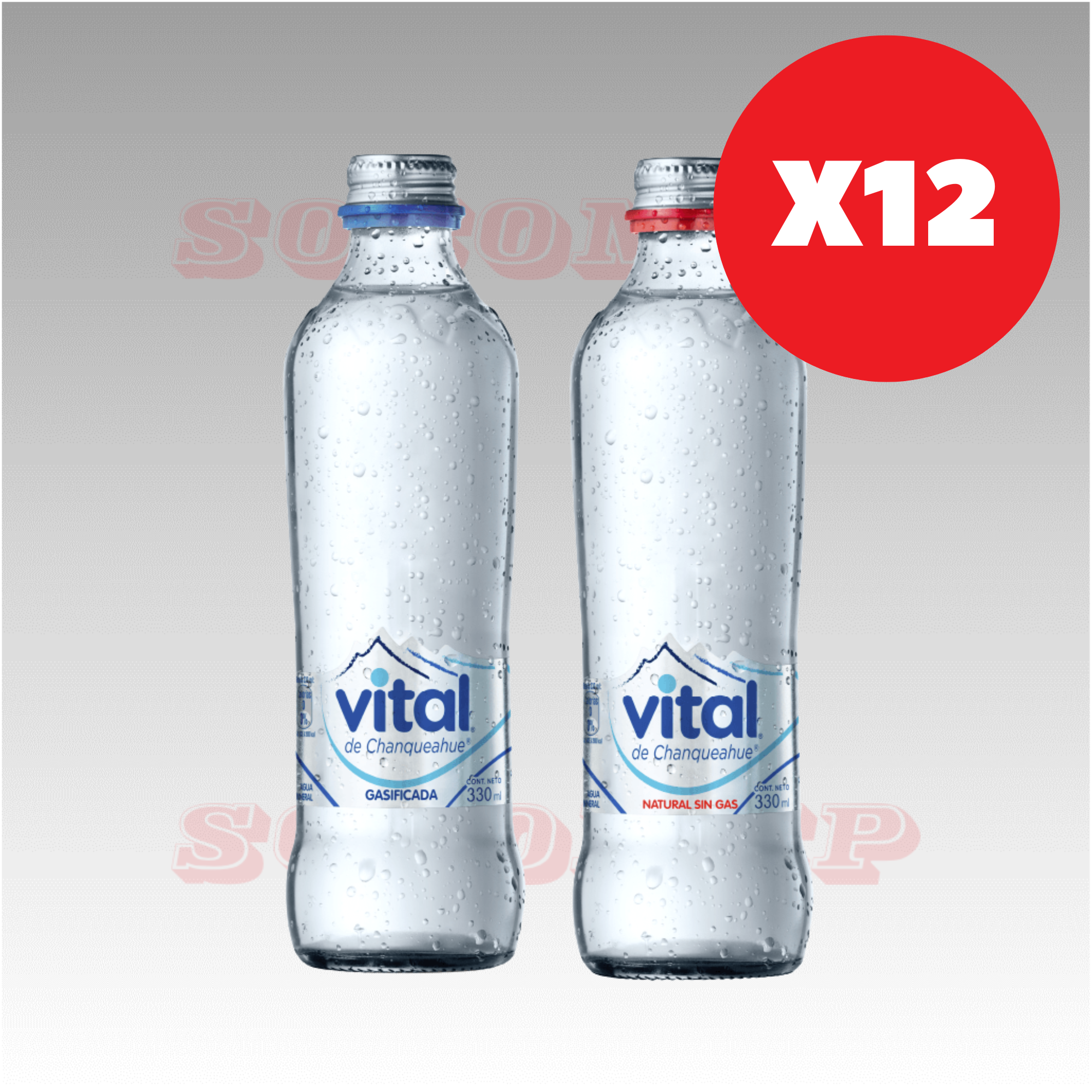 12x Agua Vital Con Gas Botella Vidrio 330cc