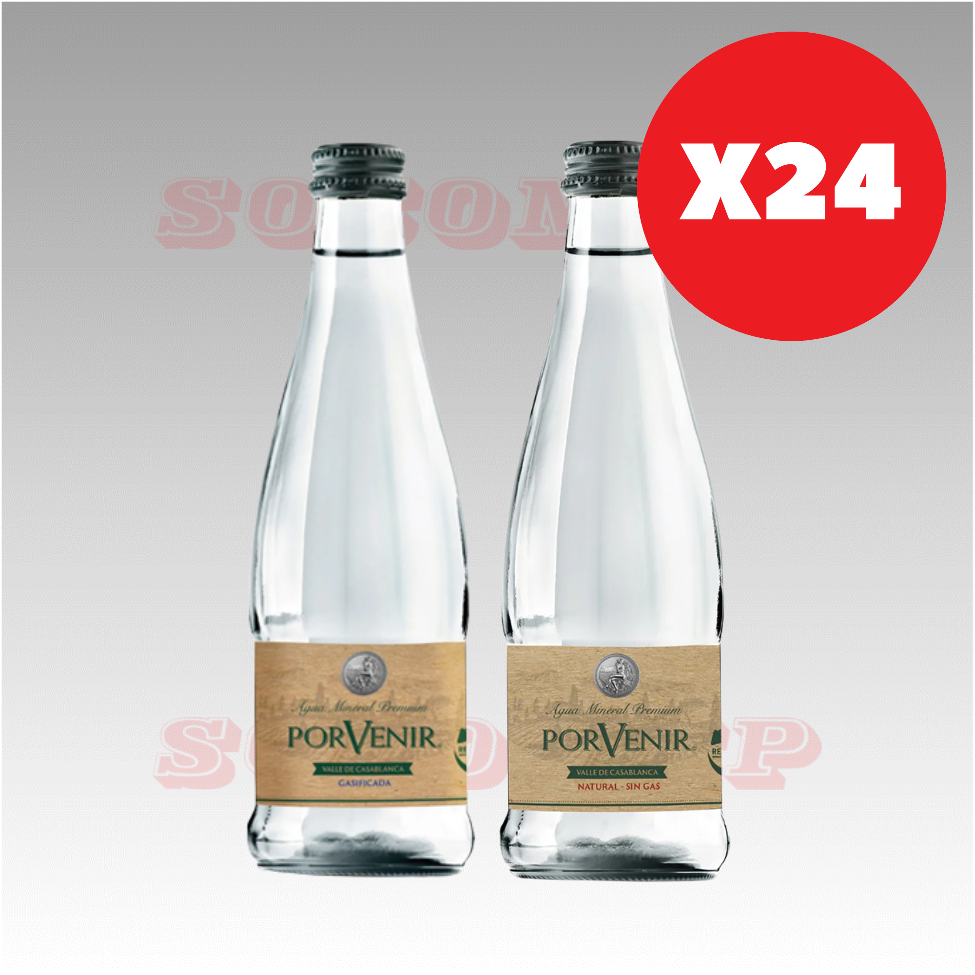 Agua Porvenir Con Gas Vidrio 330cc (12 unidades)