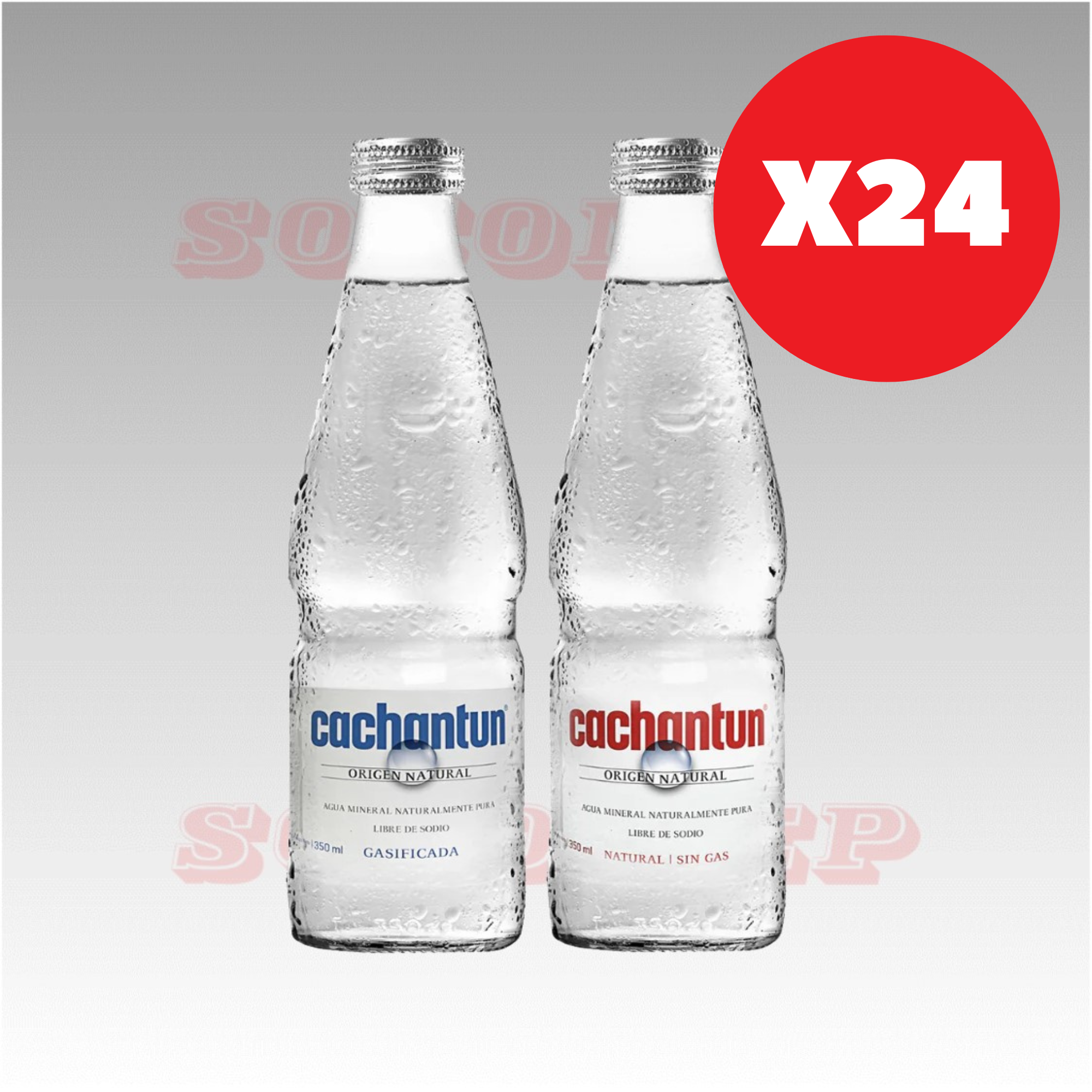 Pack x24 Agua Mineral Cachantun 330cc Variedades