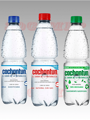 Agua Mineral Cachantun 600cc Variedades