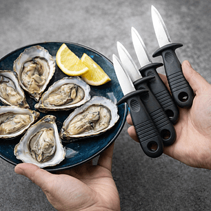 Set x 4 Cuchillo para Ostras – Estilo Boston 7,6 cm Acero Inoxidable Mango De Polipropileno Negro