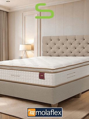 Colchão Molaflex OPULENT (Envio Gratuito) Coleção 2025