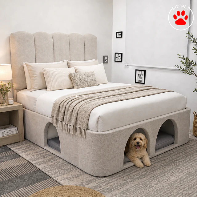 Cama Modelo Holanda para Ti y Tu Mascota 