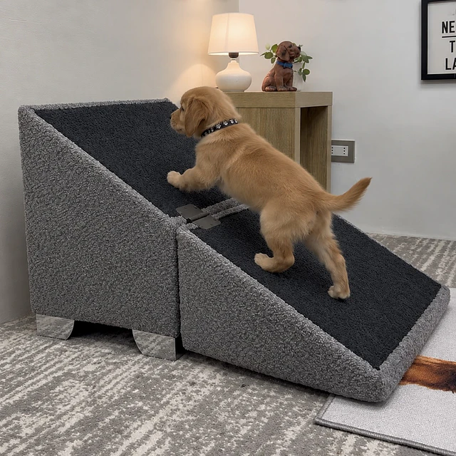 Rampa Luxury para Mascota