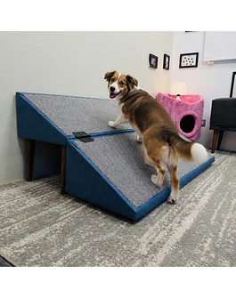 Rampa Banqueta para Mascota 