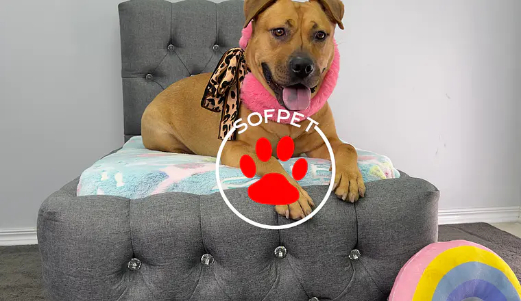 sofpet