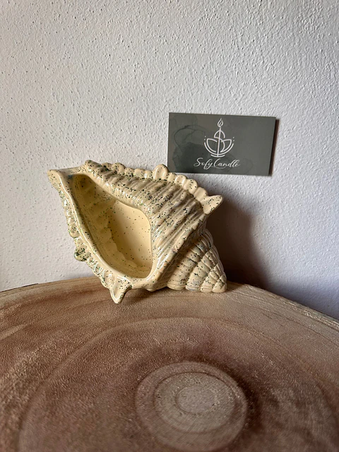 Concha Decorativa Artesanal