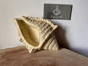 Concha Decorativa Artesanal