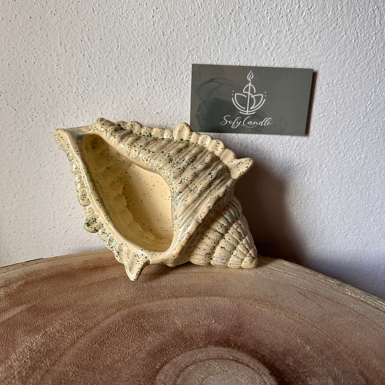 Concha Decorativa Artesanal 1