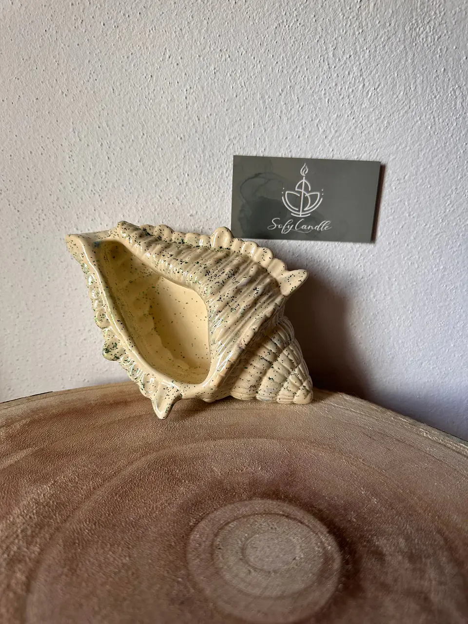 Concha Decorativa Artesanal 1