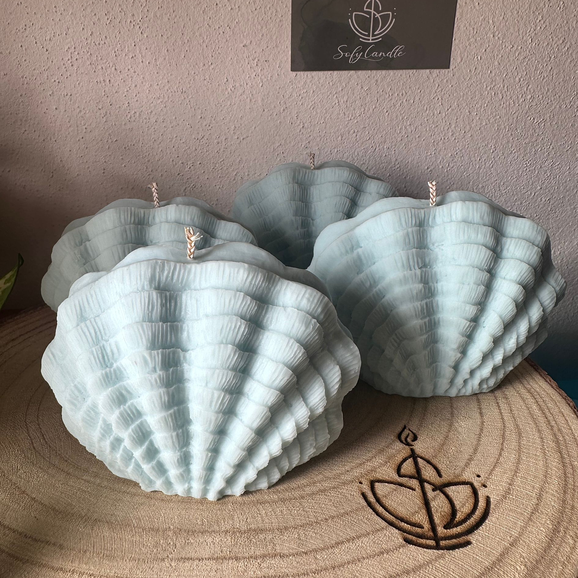 Vela Decorativa Concha Orgânica 1