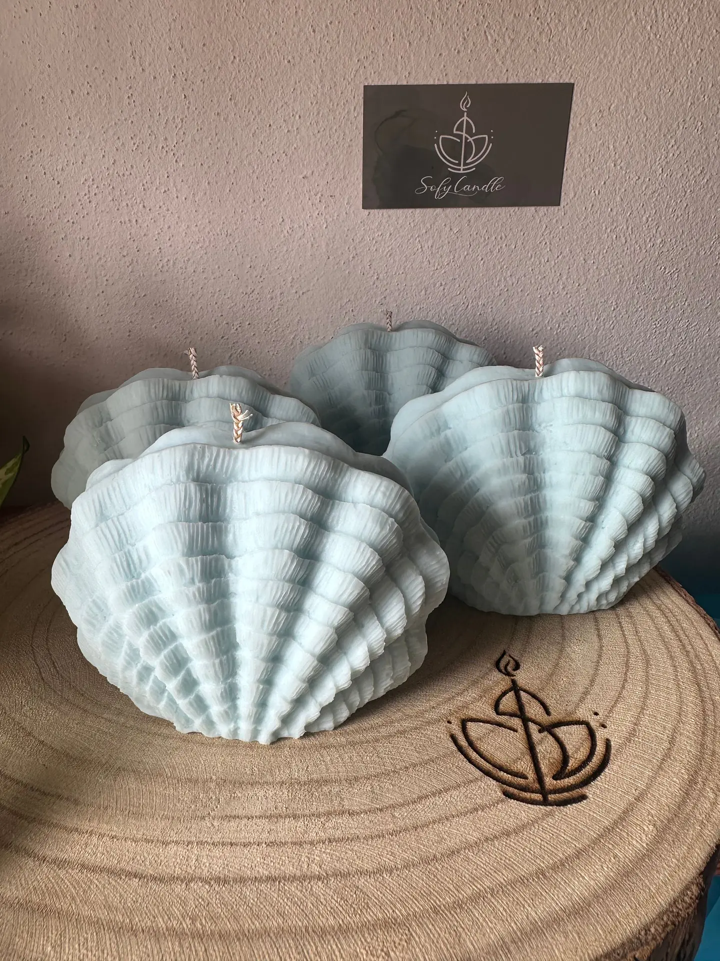 Vela Decorativa Concha Orgânica 1