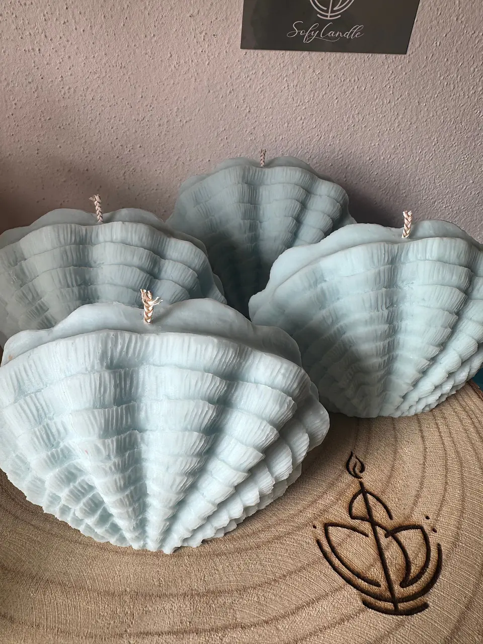 Vela Decorativa Concha Orgânica 2