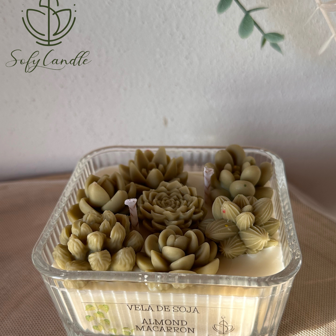 Vela de Soja - Suculentas 1