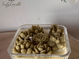 Vela de Soja - Suculentas